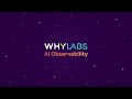 WhyLabs raises $10M Series A for its AI observability platform