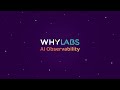 How to Run AI with Certainty – WhyLabs Observability Platform