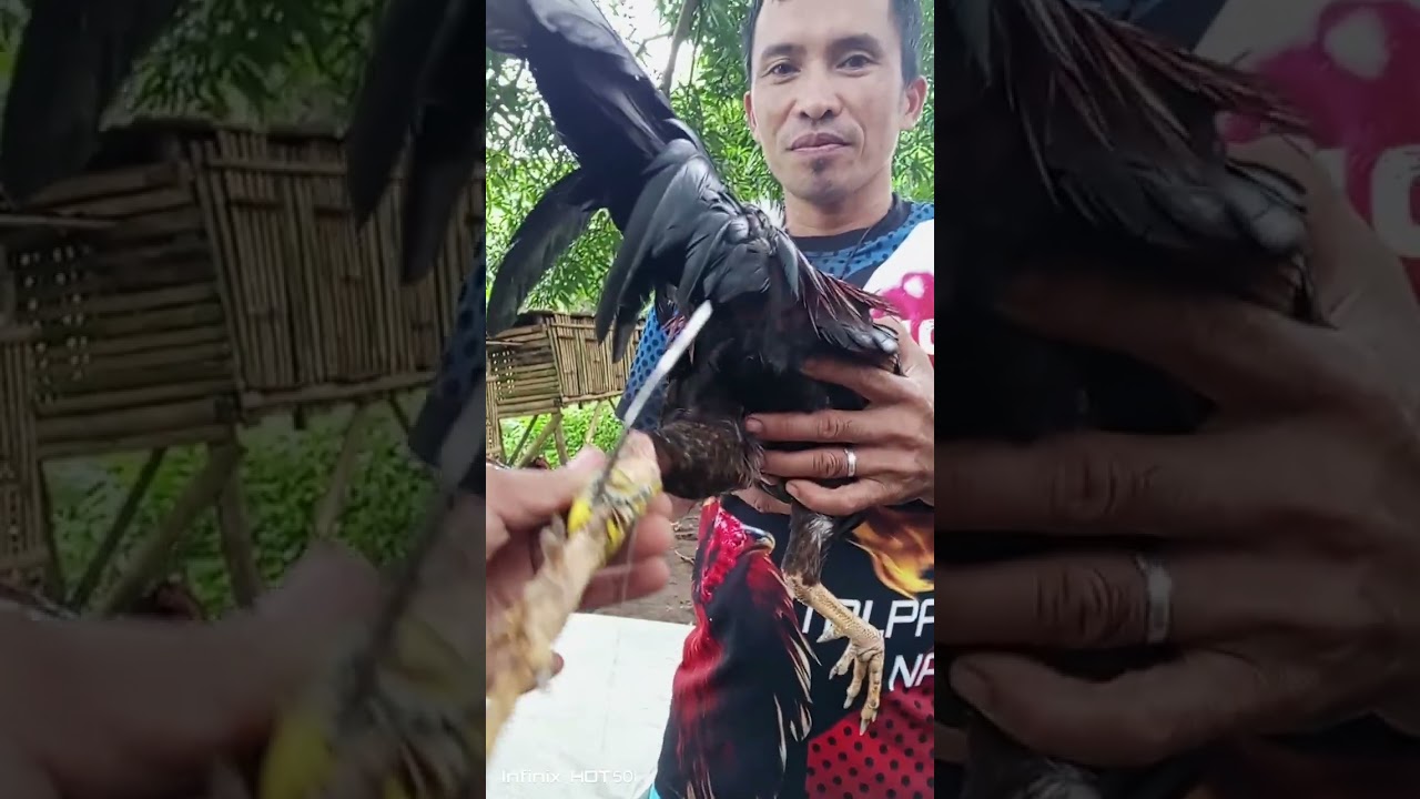 Mao ning gitawag na Partida na bawbaw patong