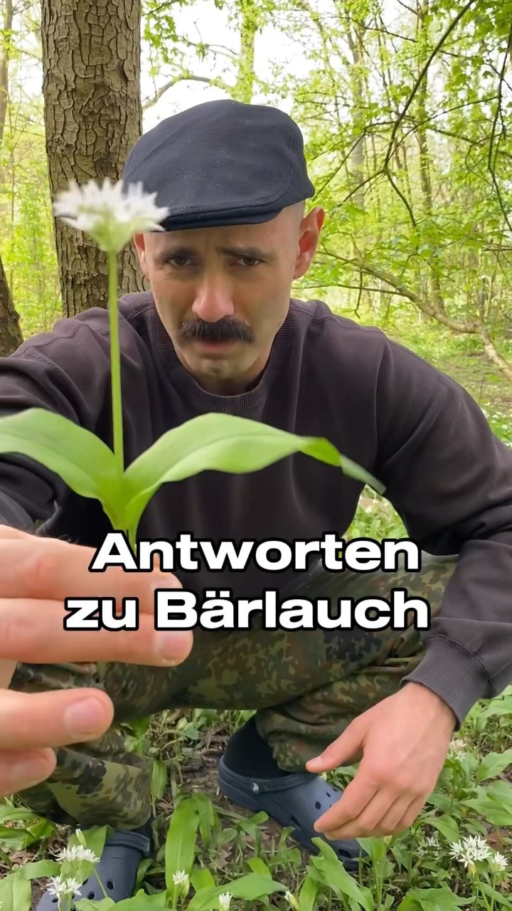 Klärungsbedarf zu Bärlauch! 🍃 #survival #outdoor - YouTube
