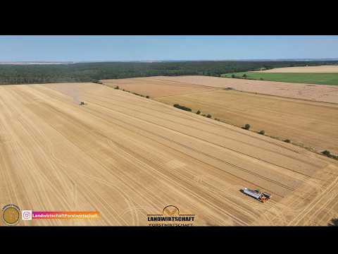 2 Mähdrescher Ernten 1800ha Getreide Weizen,Gerste,Raps,Roggen Getreideernte in Sachsen-Anhalt