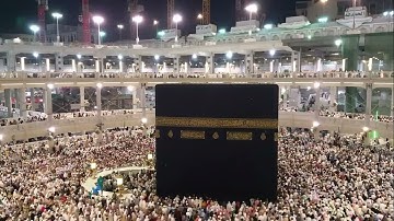 سورة التغابن ياسر سلامة