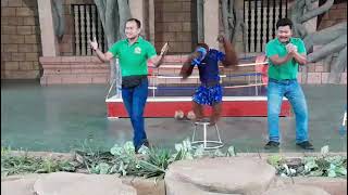 Safari Zoo Performance Phnom Penh.