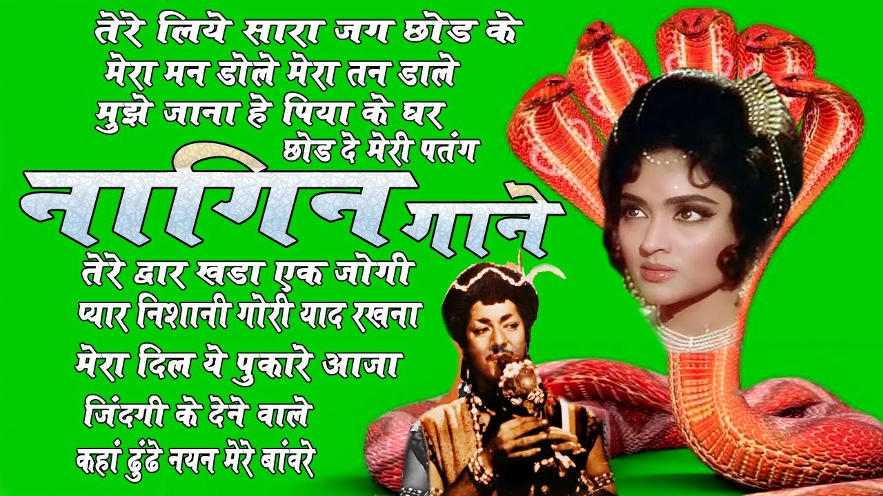 NAGIN Movie Video Song नागिन के सदबहार सुपरहिट फुल गाने गाने के साथ  Oscar movies