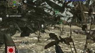 World At War Funny Ninja