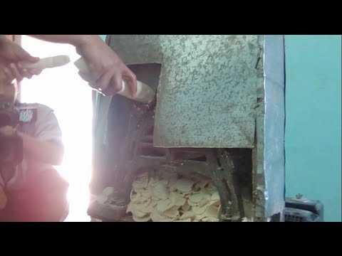 cara-membuat-tepung-mocaf-bahan-baku-100%-singkong-|-how-to-make-modified-cassava-flour