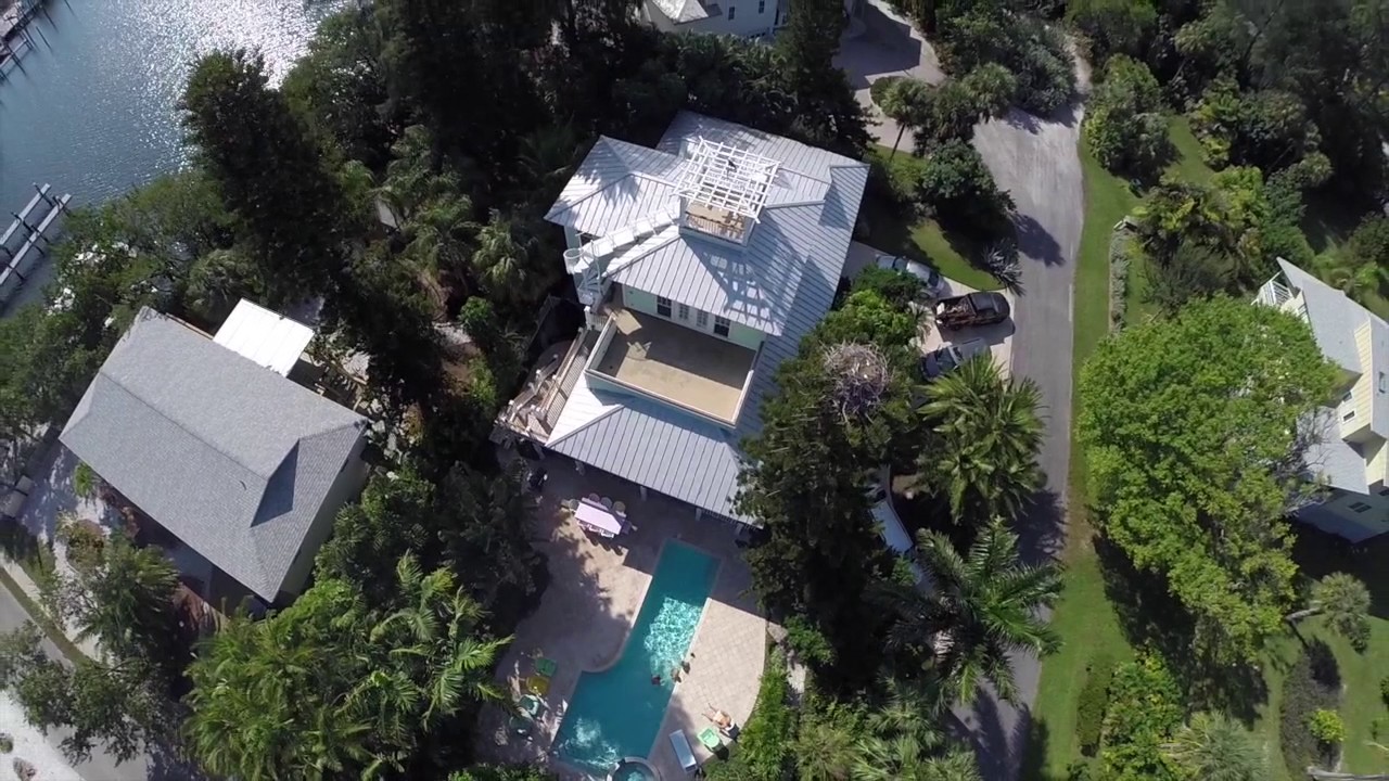 Pineapplefish A birds eye view of the beautiful,