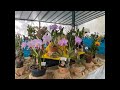 Área de vendas exposição São Carlos SP