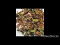 Documentary on Pan in asian country #beatles #nuts #pan