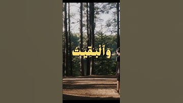 القارئ محمد صديق المنشاوي #اكسبلور #القرآن_الكريم #راحة_نفسية #viralvideo #ايات_قرانيه_قصيره #قرآن