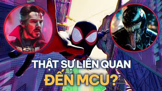 SPIDER-MAN: ACROSS THE SPIDER-VERSE có gì đáng mong đợi?