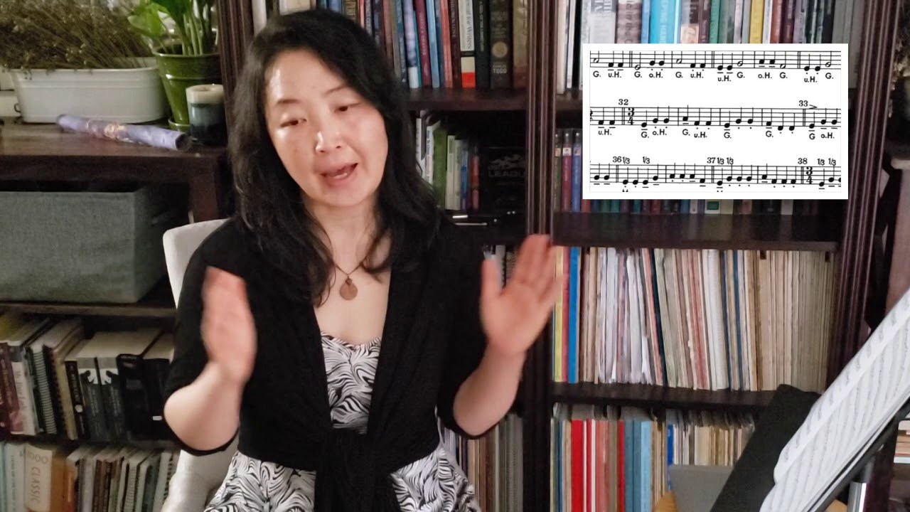 Ševčík Op. 2 School of Bowing Technique (Part 2) - Demo & Book Recommendation