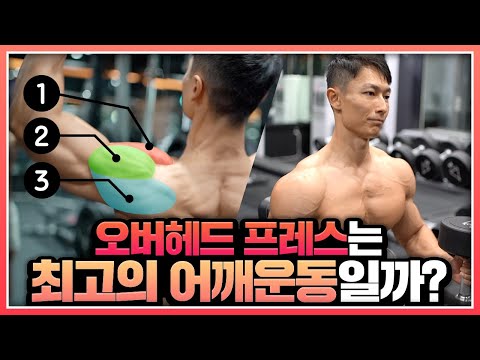연구로 알아보는 최고의 어깨운동 - 오버헤드 프레스