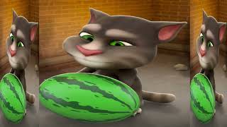 My Talking Tom Funny Cat Video 🍉🍊🍍🍌🥭🍎🍇🥝🌶🥒🥦🥕🍒🍊🍭🍩🎂🍜🧀🥨🍕🥥 22