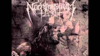 Nachtmystium - One of these nights/Assassins [Live in Roadburn]