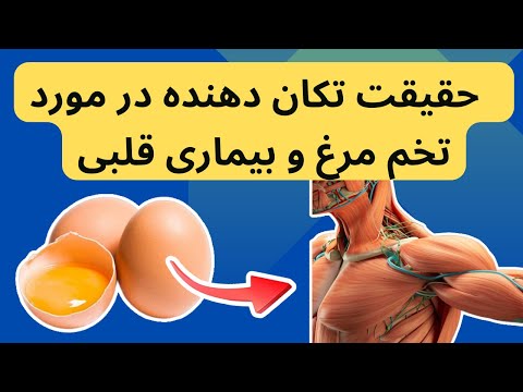 تصویری: آیا رشته فرنگی تخم مرغ کربوهیدرات دارد؟