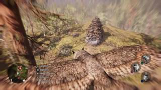 Far Cry® Primal - Eule