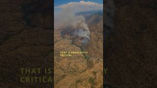 How aircraft support ground crews to stop massive wildfires #aerialfirefighting #wildfire #aviation