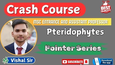 Pteridophyte Pointer | CUET MSc Entrance and Assistant professor 2025 | Online Course Available