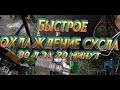 Охлаждение сусла Чиллер Теплообменник противоточный 2020