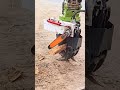 The Ultimate Excavator Grapple Saw | Hit the like button if you're seeing this for the first time.