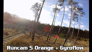 Flow in the forest (Runcam 5 Orange + Gyroflow 1.0.0)