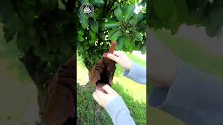 Embossed Viking Patterns Vintage-Style Coin Purse