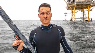 SPEARFISHING IN MISSISSIPPI (sharks and alligators)