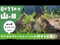 【ほぼノーカット！】ここでしか聞けない！山の日ライチョウスペシャルトーク