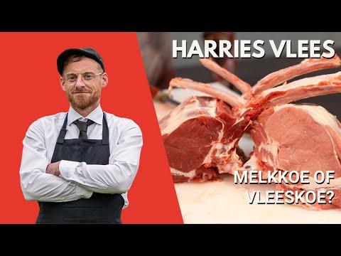 Video: Verschil Tussen Melkvee En Rundvlees