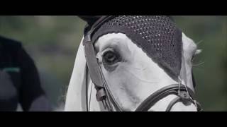 Supergirl - Equestrian Music Video