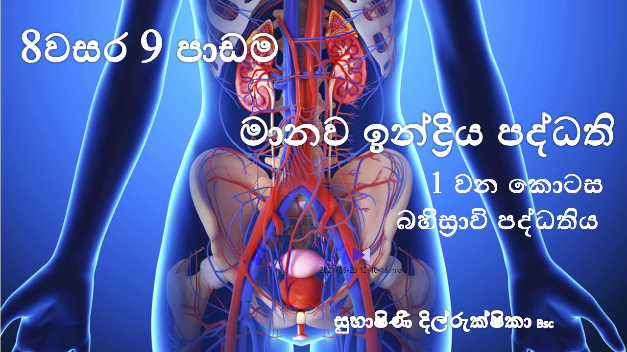 science-grade-8-science-9th-lesson-manawa-indreya-paddathi-8