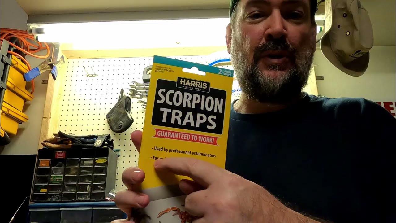 Harris Scorpion Glue Traps, Pesticide Free YouTube