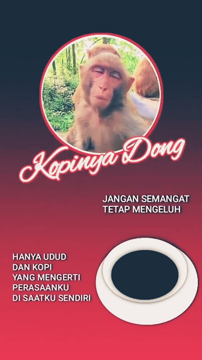 tetap putus asa jangan semangat #lucu #videolucubikinngakakterbaru #ngakak