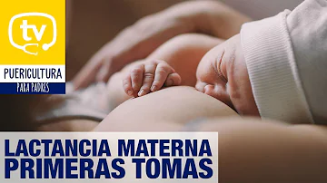 ¿Cuáles son los meses más importantes para la lactancia materna?