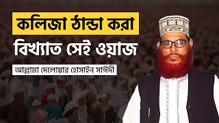 আল্লামা দেলোয়ার হোসাইন সাঈদীর | Delwar Hossain Saidi | বাংলা অসাধারণ ইসলামিক ওয়াজ ভিডিও