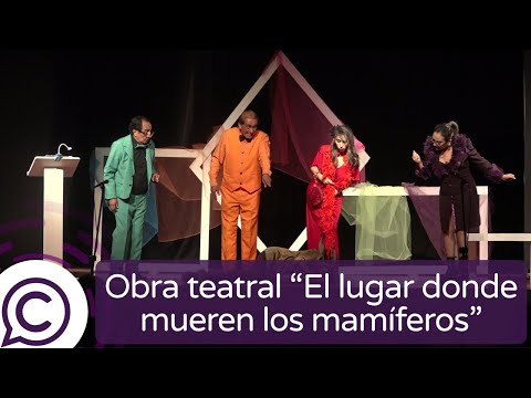 "El lugar donde mueren los mamíferos": obra teatral se presentó en Pichilemu