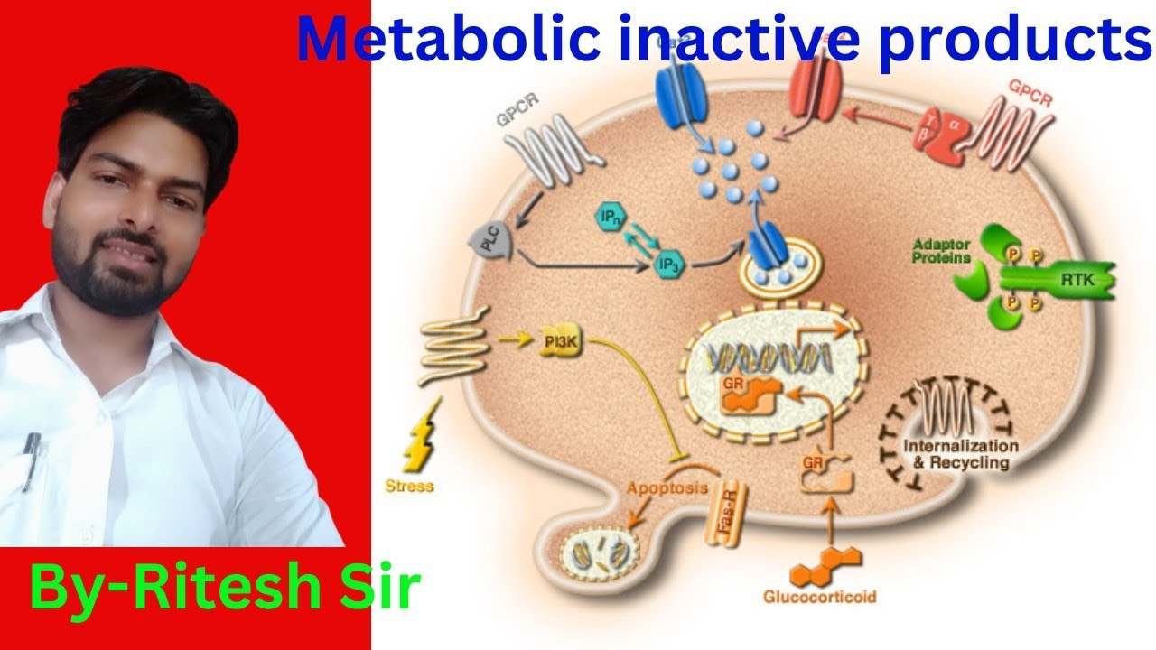 Cell Biology (Metabolic inactive products)TGT PGT NVS KVS BSC MSC AND ...