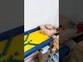 Ultimate Marble Race ASMR: Wooden Track Chain Reaction 🏁①