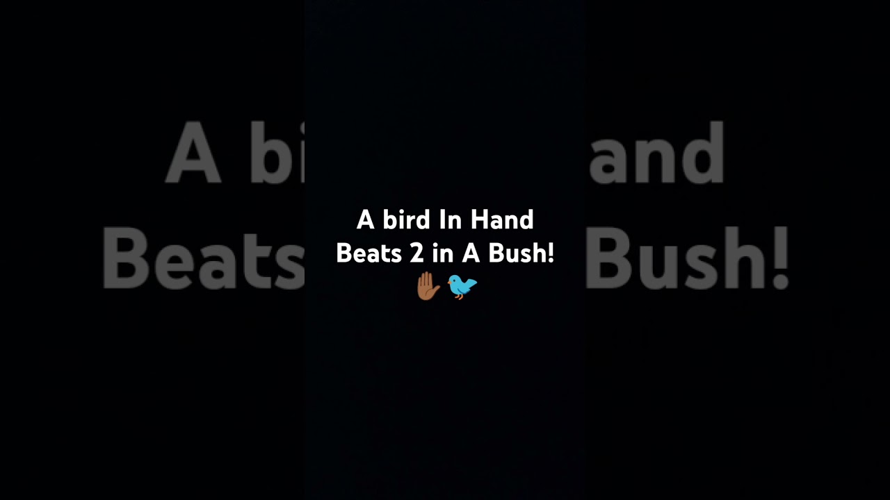 (Telling The Truth)A b🐦in hand beats 2 in the Bush.