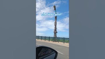 ٱية عظيمة، #القرآن_الكريم #تلاوة_مميزة #المصحف #تلاوة_نادرة_لاول_مرة  #خاشعة #اكسبلور #دعاء_الأم