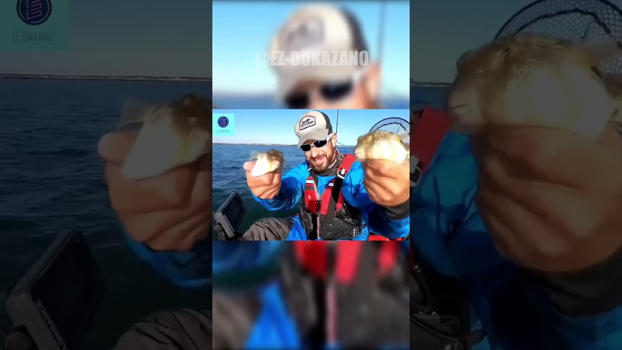 Один укус – и смерть! Вся правда о рыбе-фугу 🐡💀 