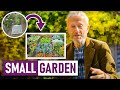 Small Garden May 2023