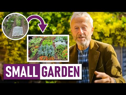 Video: 5 Dinge, die Tierhalter wissen sollten, bevor sie Spring Gardens pflanzen