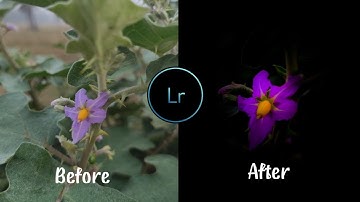 LIGHTROOM TUTORIAL :: moody flower editing || lightroom best editing part-1