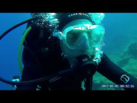 Immersione Secca di Punta Secca, Isola di Giannutri