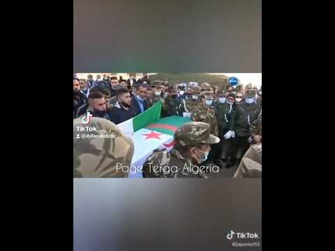 شهيد الوطن للماية سيف دين