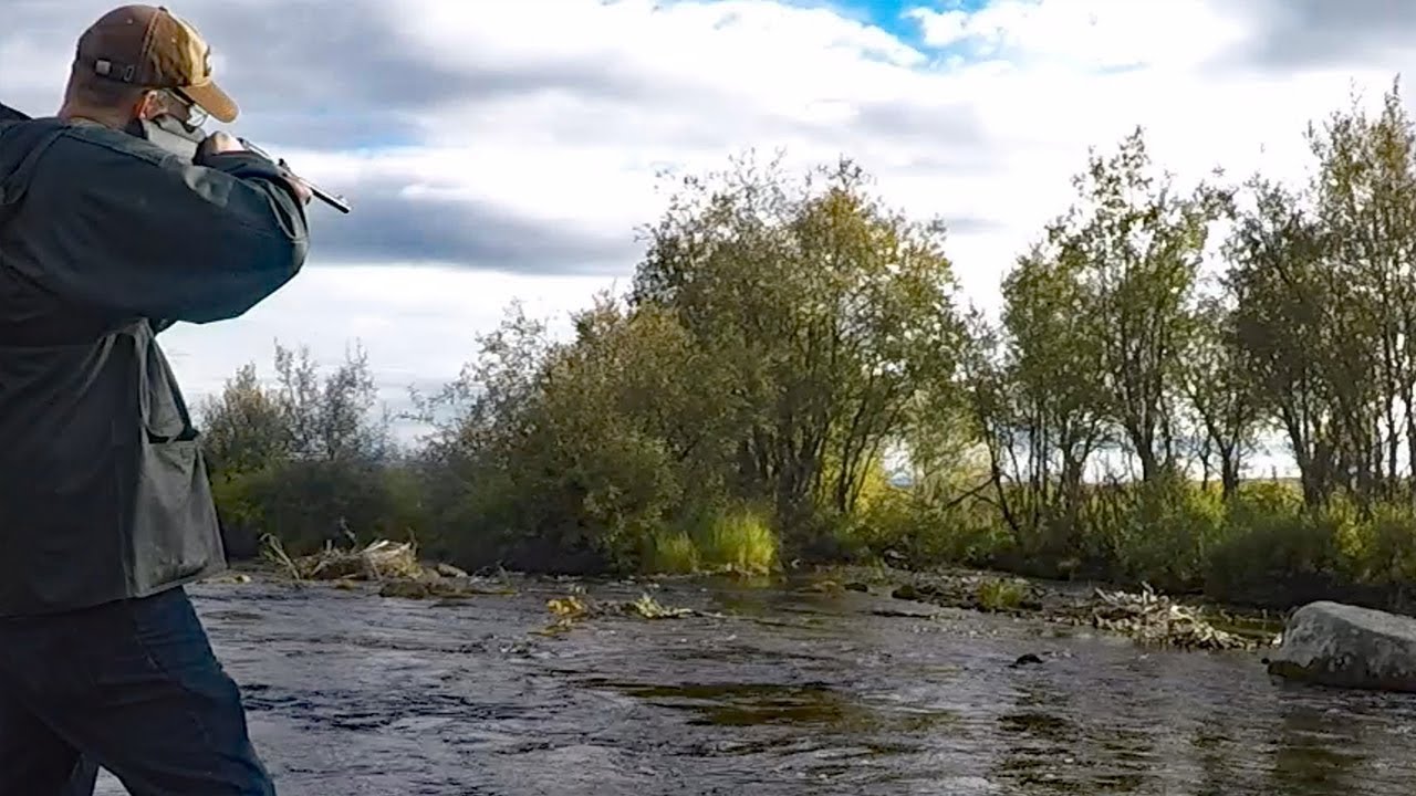 Alaska Adventure – Part 2  Hunting in Alaska and fishing for grayling