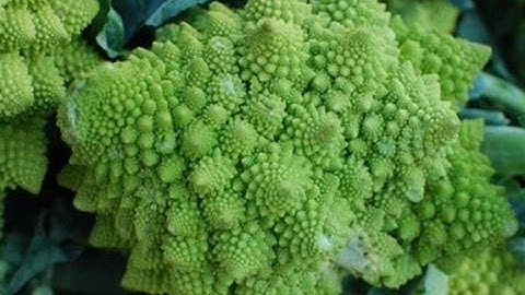 From a Simple Code Emerges Complexity