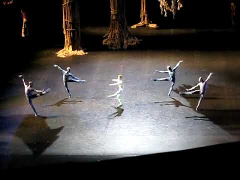 Zaël (Alessio Carbone) - La source -  Palais Garnier, November 3rd, 2011